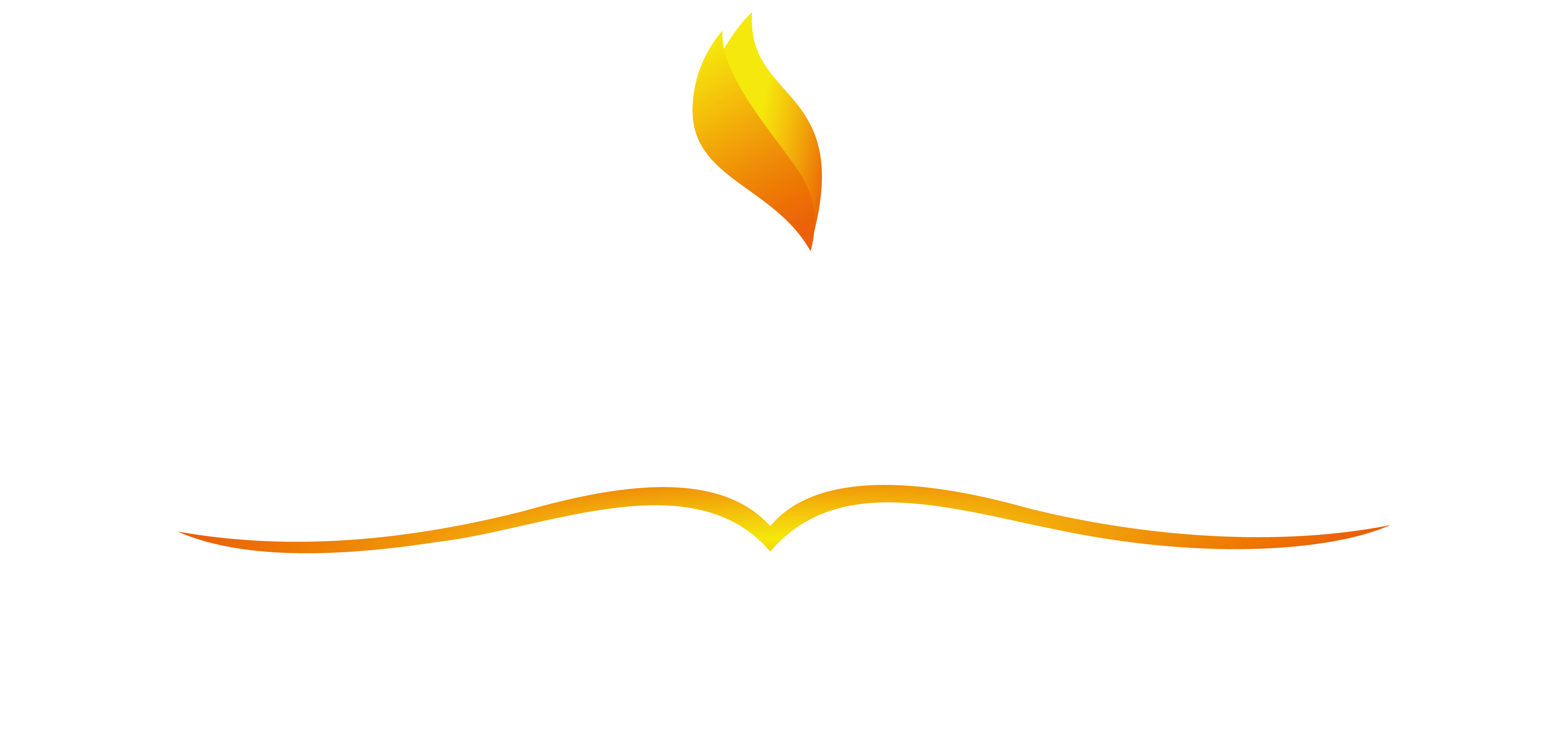 FEICS